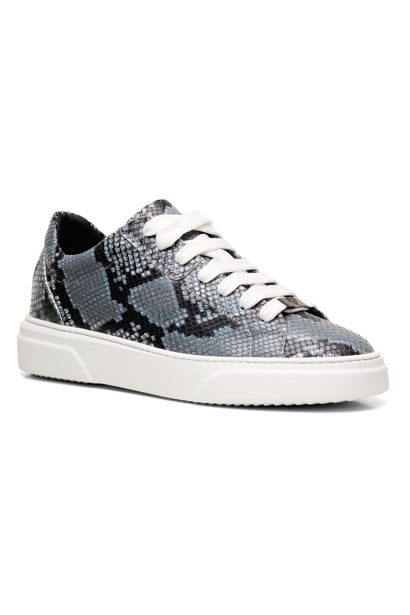 Dragon-Grigio