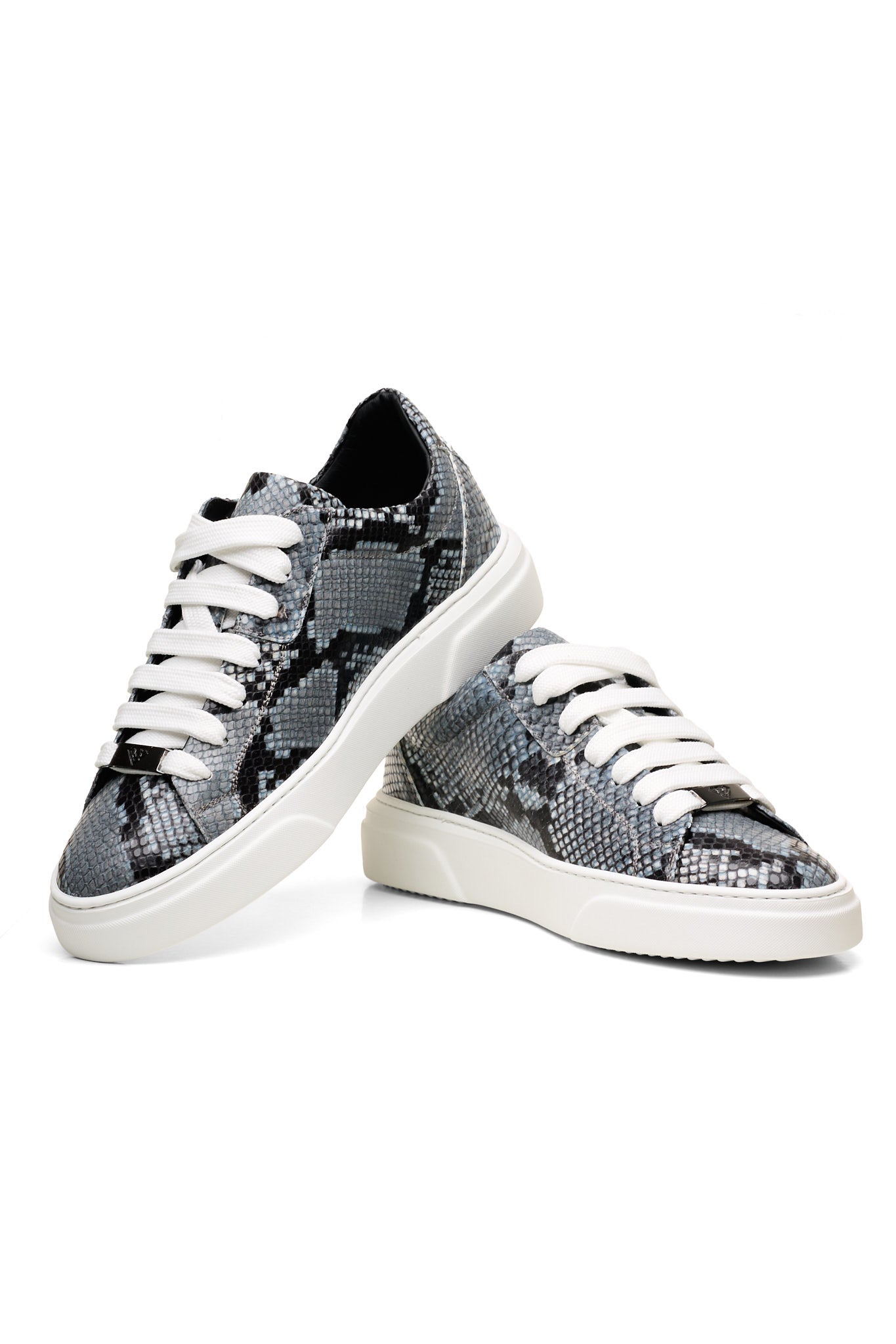 Dragon-Grigio