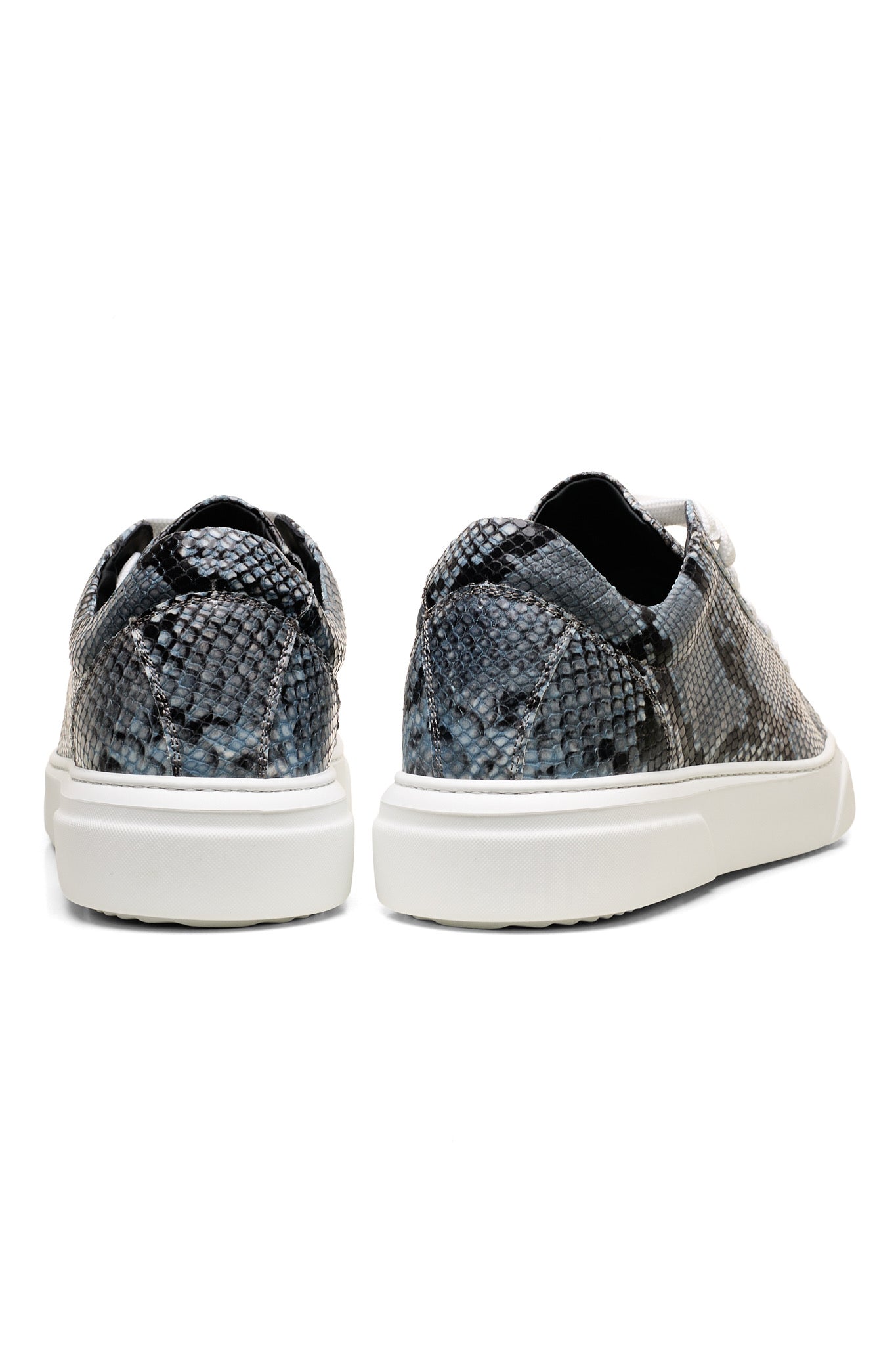 Dragon-Grigio