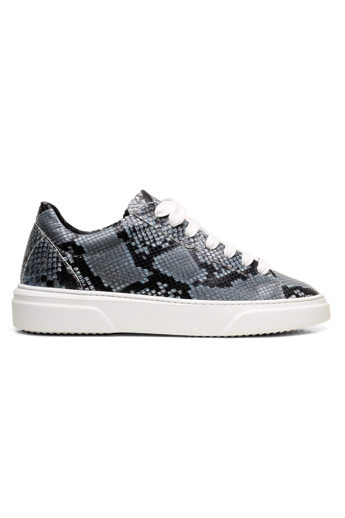 Dragon-Grigio